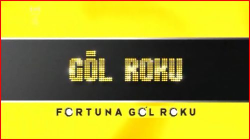 Dnes večer vyhlášení ankety Fortuna Gól roku 2008